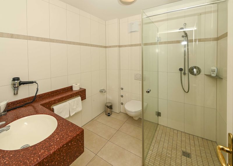 Badezimmer mit Dusche, Waschbecken und WC