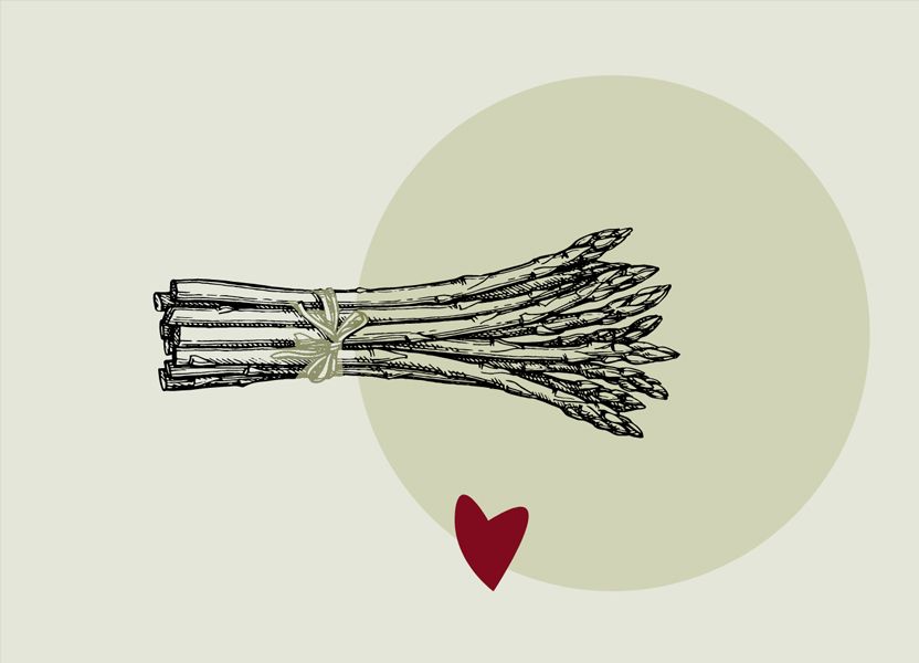 Graphische Zeichnung von einem Bund Spargel